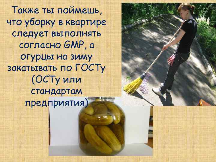 Также ты поймешь, что уборку в квартире следует выполнять согласно GMP, а огурцы на