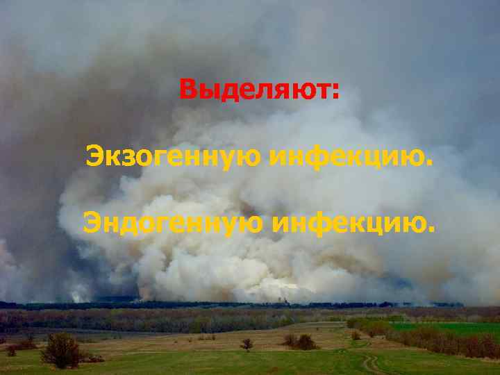 Выделяют: Экзогенную инфекцию. Эндогенную инфекцию. 