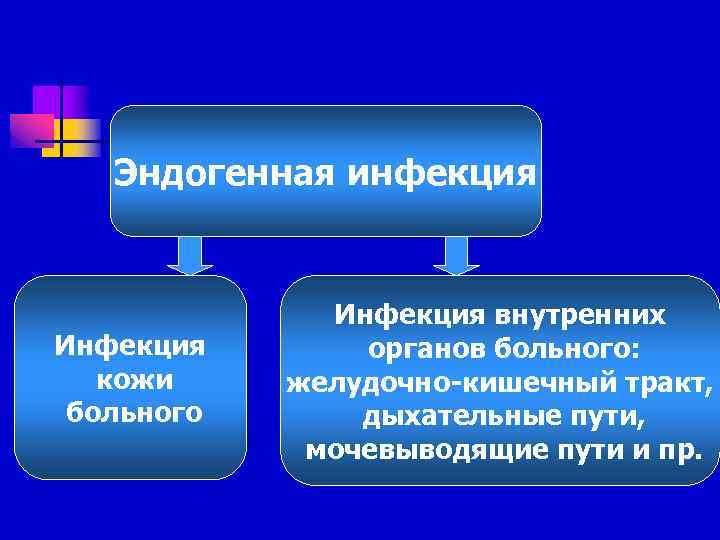 Эндогенная инфекция Инфекция кожи больного Инфекция внутренних органов больного: желудочно-кишечный тракт, дыхательные пути, мочевыводящие