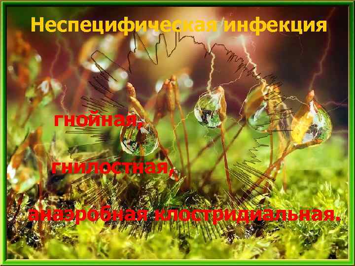 Неспецифическая инфекция гнойная, гнилостная, анаэробная клостридиальная. 