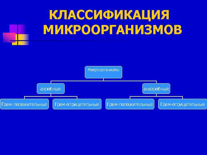 КЛАССИФИКАЦИЯ МИКРООРГАНИЗМОВ Микроорганизмы аэробные Грам-положительные Грам-отрицательные анаэробные Грам-положительные Грам-отрицательные 