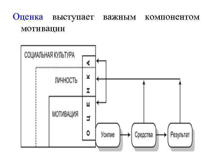 Оценка выступает важным компонентом мотивации 