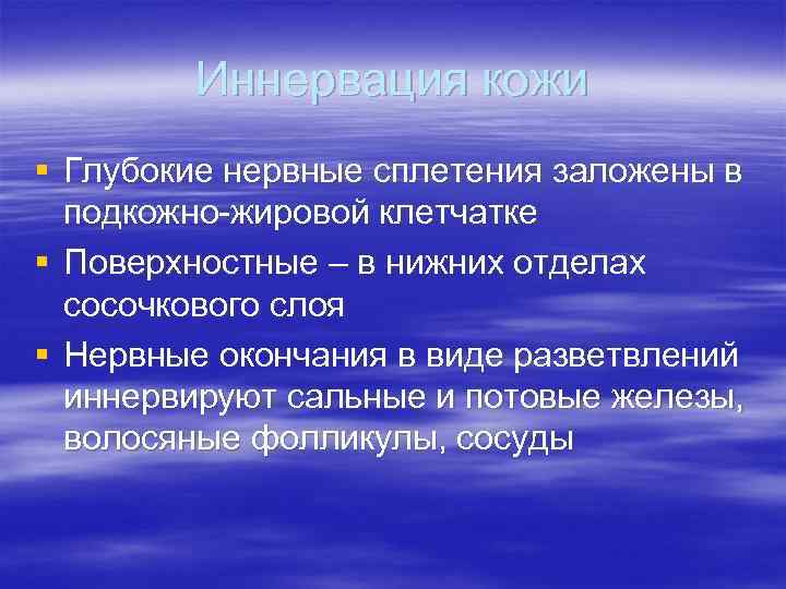 Иннервация кожи § Глубокие нервные сплетения заложены в подкожно-жировой клетчатке § Поверхностные – в