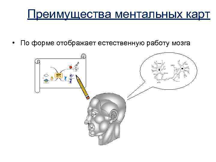 Преимущества ментальных карт • По форме отображает естественную работу мозга 