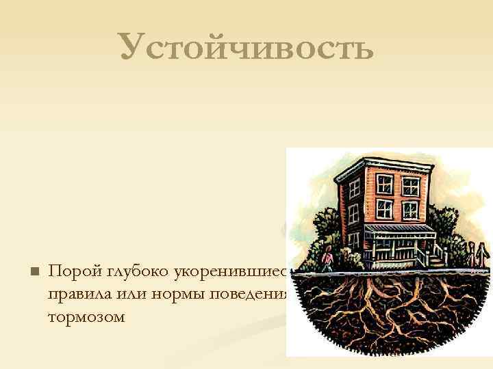 Устойчивость n Порой глубоко укоренившиеся традиции, правила или нормы поведения становятся тормозом 
