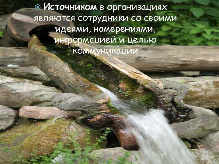 Источником в организациях являются сотрудники со своими идеями, намерениями, информацией и целью коммуникации 