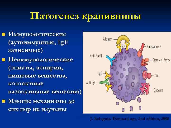 Патогенез крапивницы n n n Иммунологические (аутоиммунные, Ig. E зависимые) Неиммунологические (опиаты, аспирин, пищевые