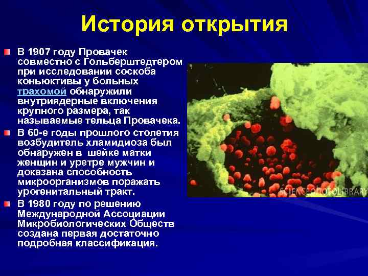 История открытия В 1907 году Провачек совместно с Гольберштедтером при исследовании соскоба коньюктивы у