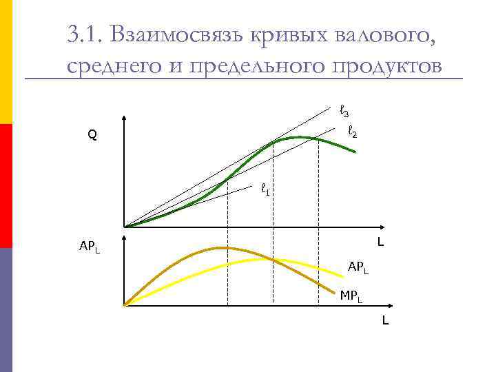 3. 1. Взаимосвязь кривых валового, среднего и предельного продуктов ℓ 3 ℓ 2 Q