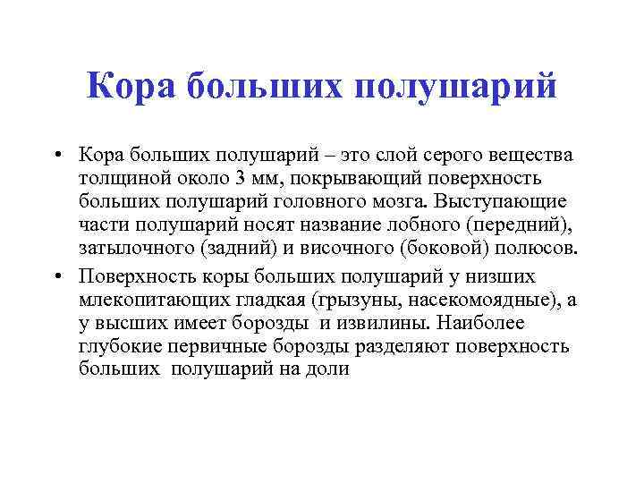 Кора больших полушарий • Кора больших полушарий – это слой серого вещества толщиной около