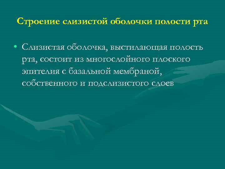 Строение слизистой оболочки полости рта • Слизистая оболочка, выстилающая полость рта, состоит из многослойного