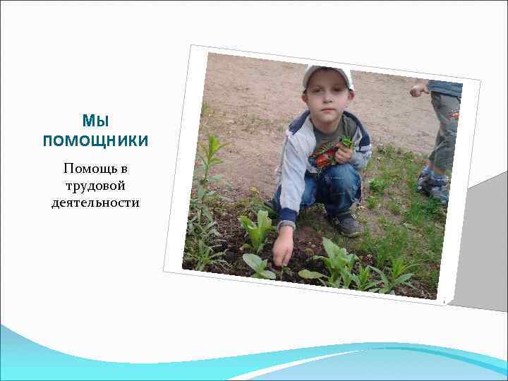 МЫ ПОМОЩНИКИ Помощь в трудовой деятельности 