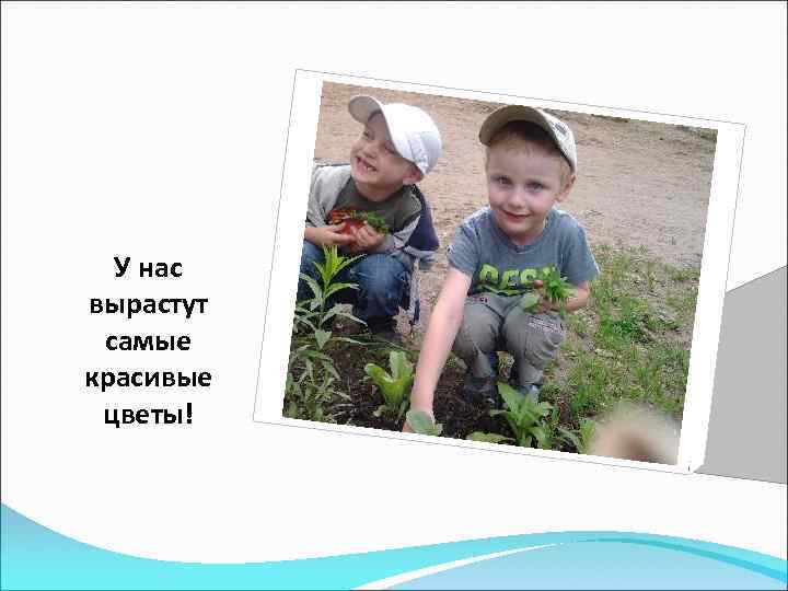 У нас вырастут самые красивые цветы! 