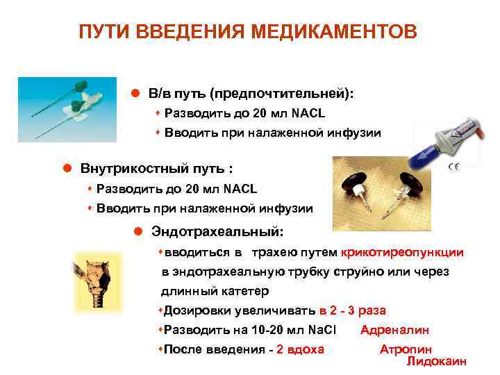 ПУТИ ВВЕДЕНИЯ МЕДИКАМЕНТОВ l В/в путь (предпочтительней): s Разводить до 20 мл NACL s