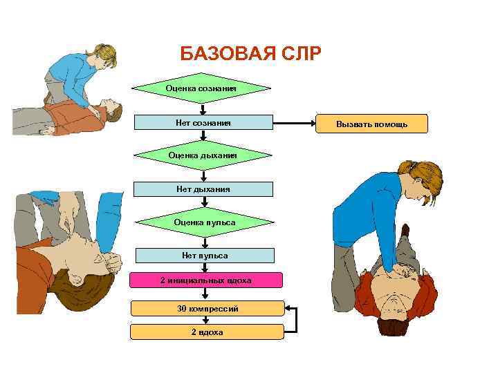 БАЗОВАЯ СЛР Оценка сознания Нет сознания Оценка дыхания Нет дыхания Оценка пульса Нет пульса