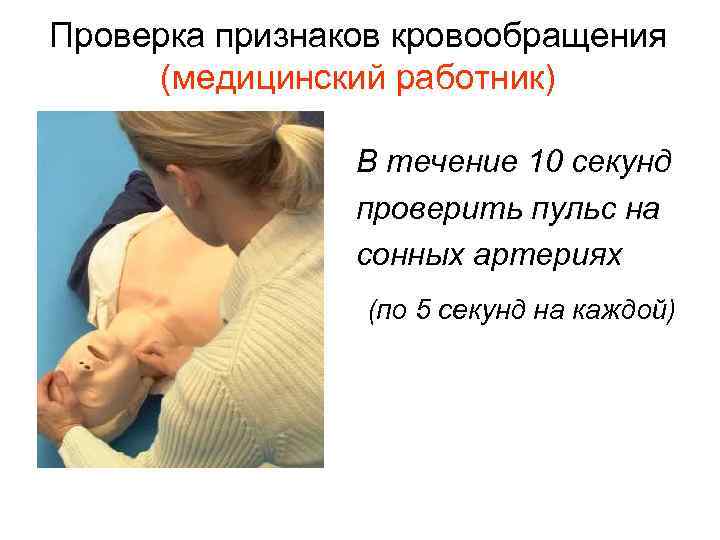 Проверка признаков кровообращения (медицинский работник) В течение 10 секунд проверить пульс на сонных артериях