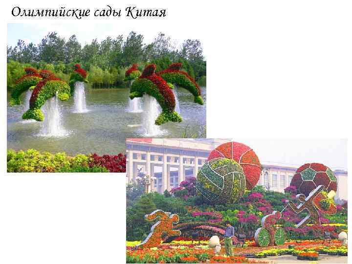 Олимпийские сады Китая 