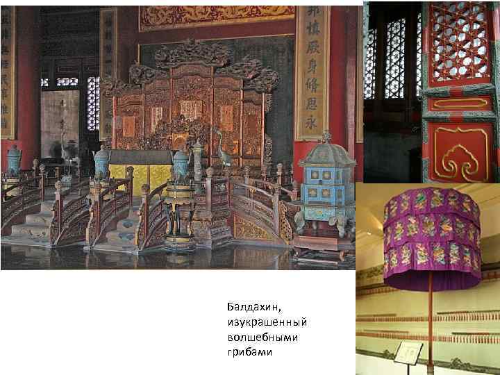 Балдахин, изукрашенный волшебными грибами 