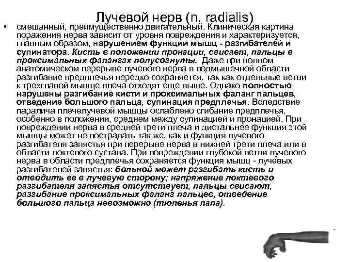  • Лучевой нерв (n. radialis) смешанный, преимущественно двигательный. Клиническая картина поражения нерва зависит