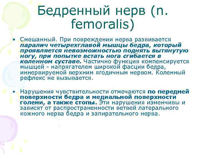 Бедренный нерв (n. femoralis) • Смешанный. При повреждении нерва развивается паралич четырехглавой мышцы бедра,