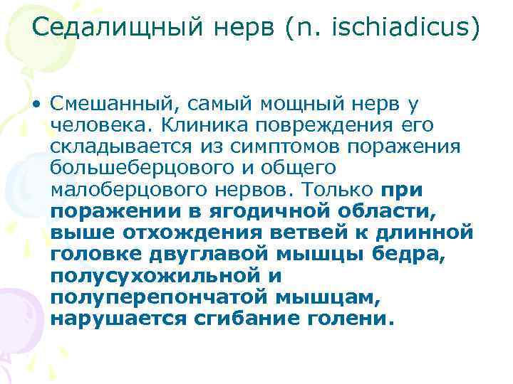 Седалищный нерв (n. ischiadicus) • Смешанный, самый мощный нерв у человека. Клиника повреждения его