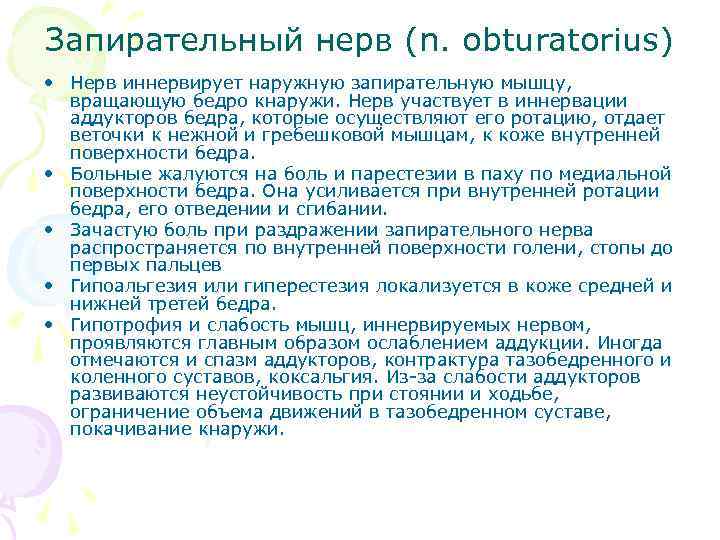 Запирательный нерв (n. obturatorius) • Нерв иннервирует наружную запирательную мышцу, вращающую бедро кнаружи. Нерв