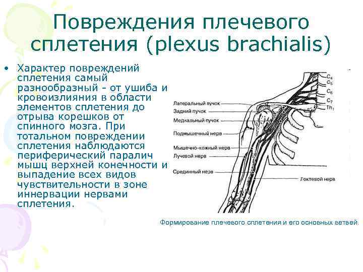 Повреждения плечевого сплетения (plexus brachialis) • Характер повреждений сплетения самый разнообразный - от ушиба