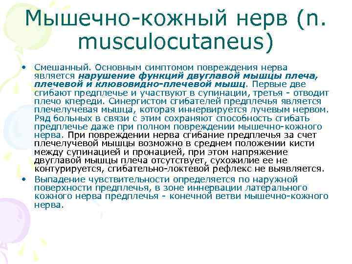 Мышечно-кожный нерв (n. musculocutaneus) • Смешанный. Основным симптомом повреждения нерва является нарушение функций двуглавой