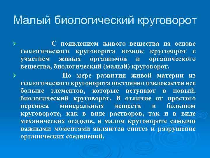 Малый биологический круговорот С появлением живого вещества на основе геологического круговорота возник круговорот с