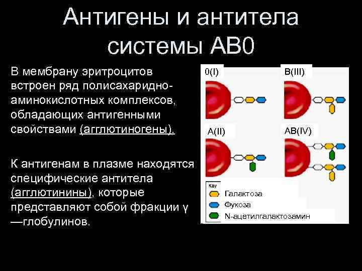 Если на эритроцитах обнаружен только антиген в исследуемый образец крови относится к группе тест