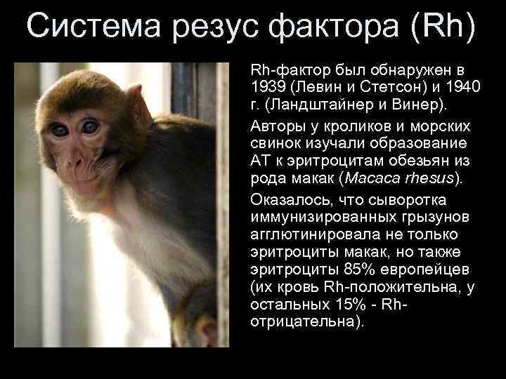 Система резус фактора (Rh) Rh-фактор был обнаружен в 1939 (Левин и Стетсон) и 1940