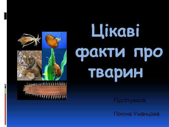 Цікаві факти про тварин Підготувала: Поліна Уманцова 