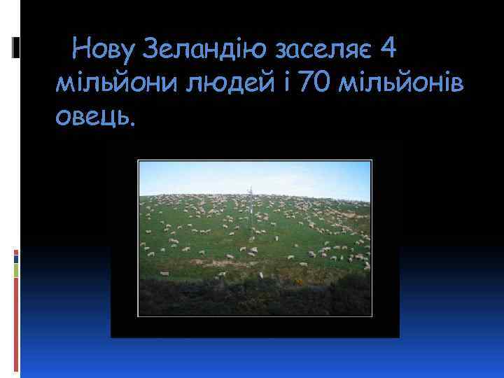 Нову Зеландію заселяє 4 мільйони людей і 70 мільйонів овець. 