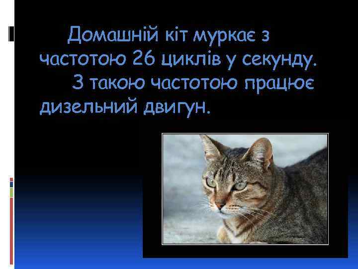 Домашній кіт муркає з частотою 26 циклів у секунду. З такою частотою працює дизельний