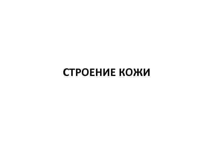 СТРОЕНИЕ КОЖИ 