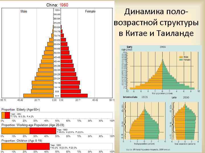 Динамика половозрастной структуры в Китае и Таиланде 