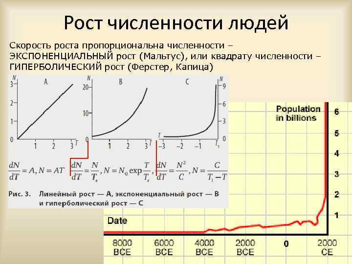 Рост численности людей Скорость роста пропорциональна численности – ЭКСПОНЕНЦИАЛЬНЫЙ рост (Мальтус), или квадрату численности