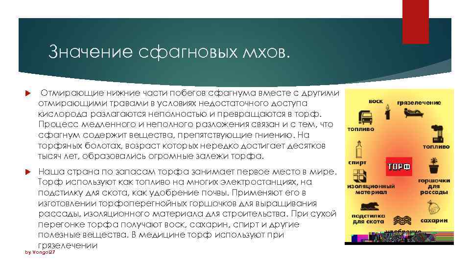 Значение сфагновых мхов. Отмирающие нижние части побегов сфагнума вместе с другими отмирающими травами в
