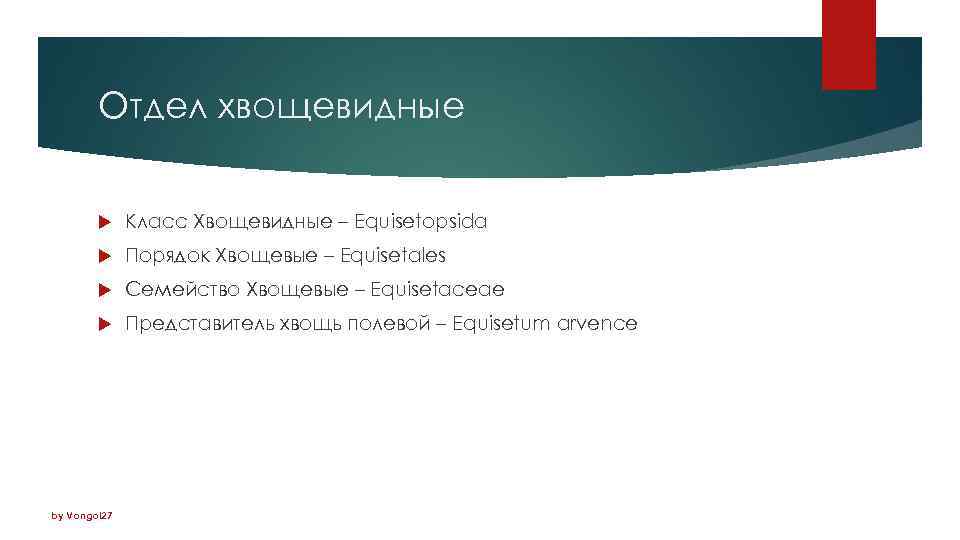 Отдел хвощевидные Класс Хвощевидные – Equisetopsida Порядок Хвощевые – Equisetales Семейство Хвощевые – Equisetaceae