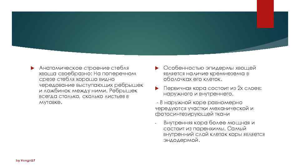 Анатомическое строение стебля хвоща своебразно: На поперечном срезе стебля хорошо видно чередование выступающих