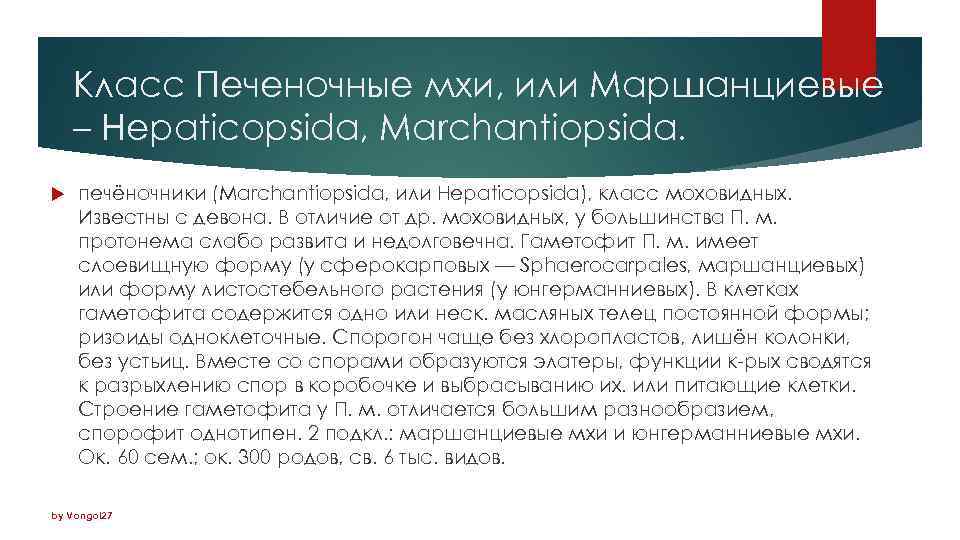 Класс Печеночные мхи, или Маршанциевые – Hepaticopsida, Marchantiopsida. печёночники (Marchantiopsida, или Hepaticopsida), класс моховидных.