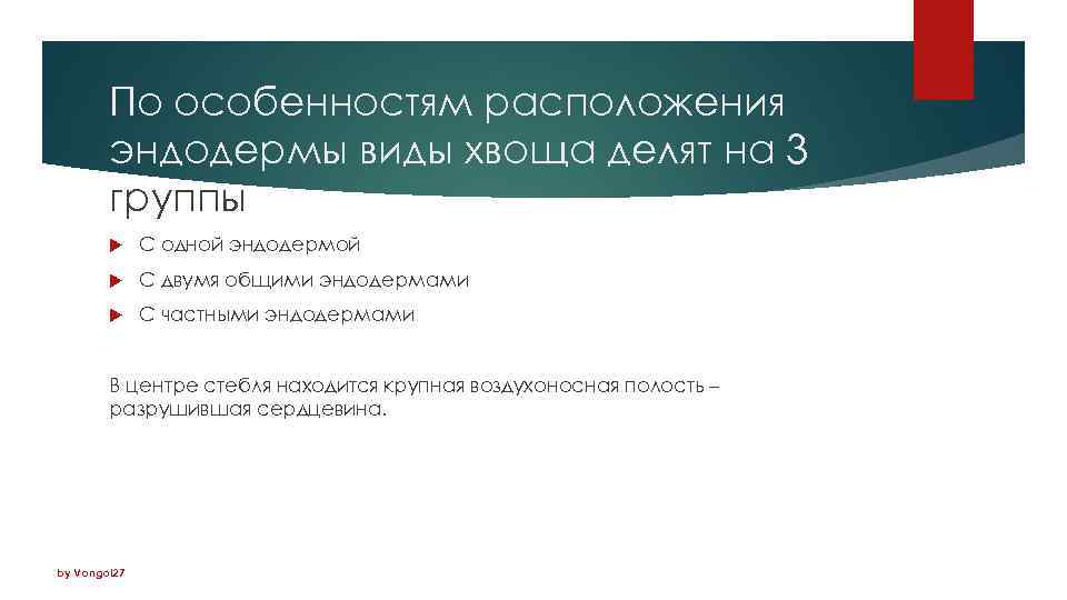 По особенностям расположения эндодермы виды хвоща делят на 3 группы С одной эндодермой С