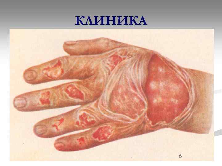 КЛИНИКА 