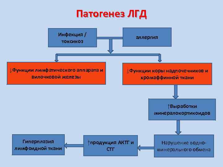 Патогенез ЛГД Инфекция / токсикоз аллергия ↓Функции лимфатического аппарата и вилочковой железы ↓Функции коры