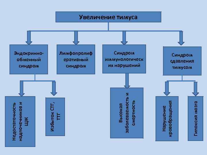 Увеличение тимуса Гипоксия мозга Синдром сдавления тимусом Нарушение кровобращения Синдром иммунологическ их нарушений Высокая