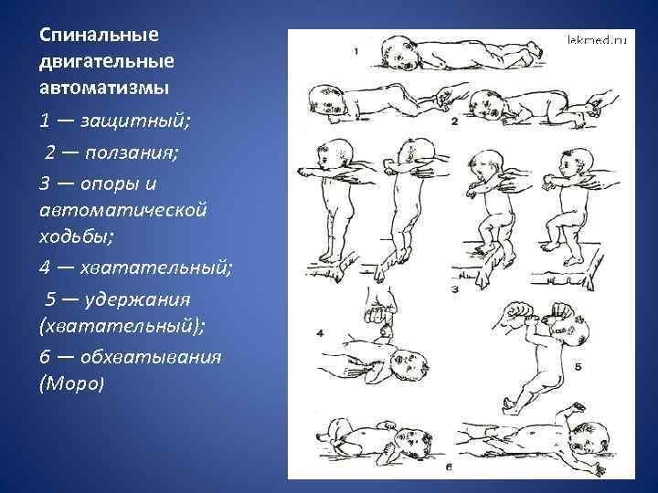 Какая структура ритма отражает перекрестную схему ползания