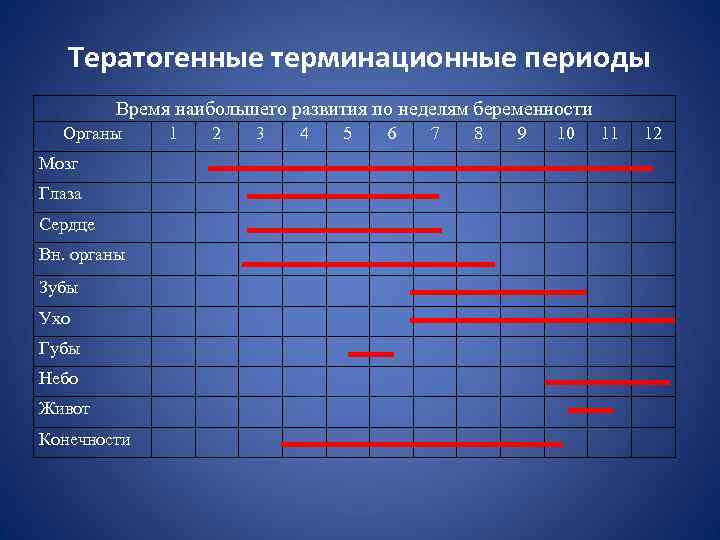 Критические периоды развития плода презентация