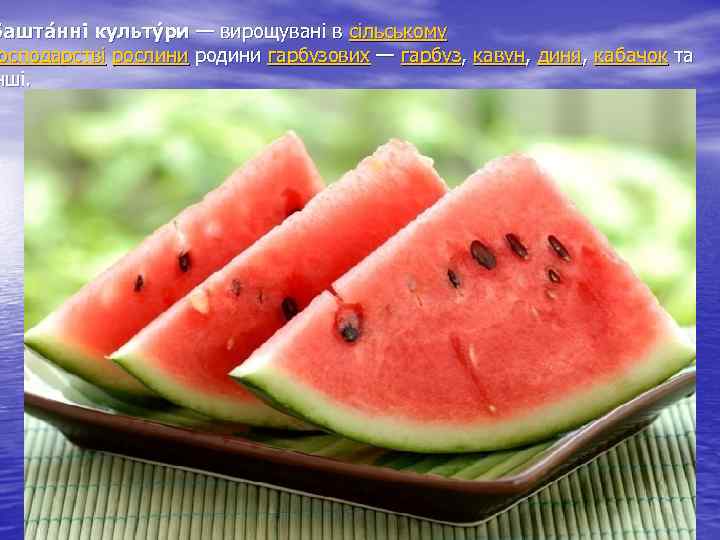 Башта нні культу ри — вирощувані в сільському осподарстві рослини родини гарбузових — гарбуз,