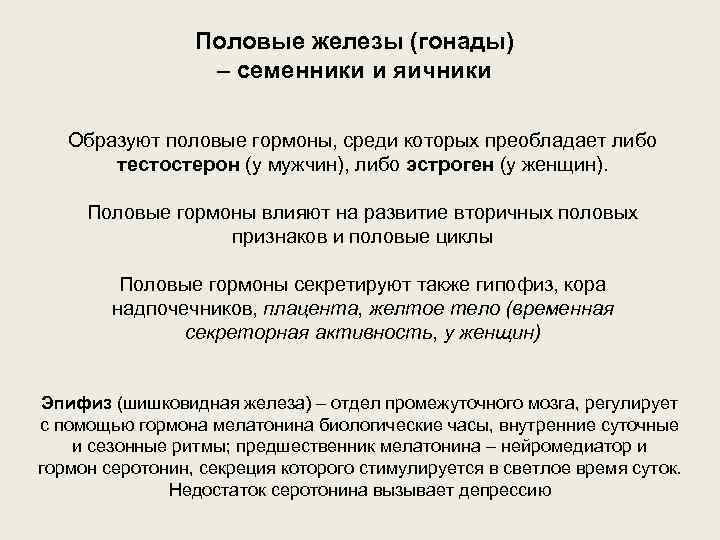 Половые железы (гонады) – семенники и яичники Образуют половые гормоны, среди которых преобладает либо