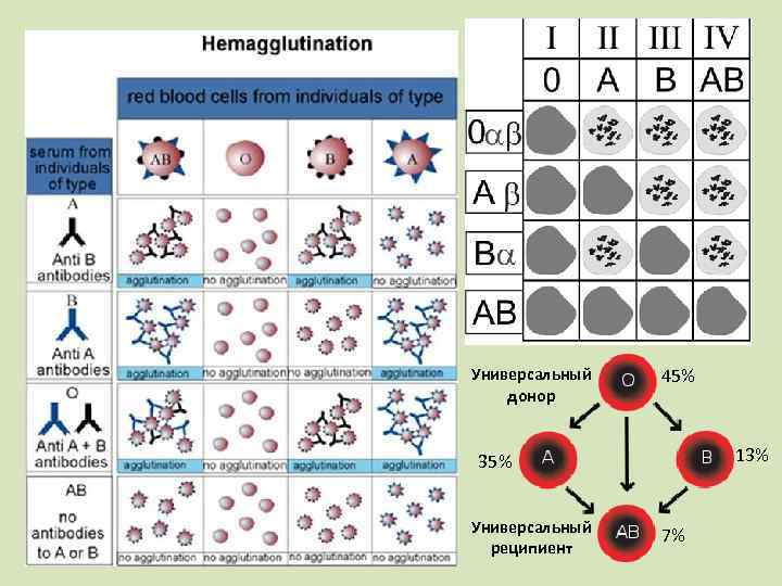 Универсальный донор 45% 13% 35% Универсальный реципиент 7% 